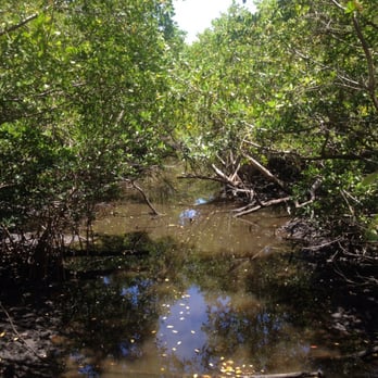 Mangrove park, FL