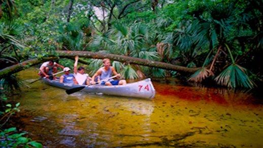 People in canoe rowing