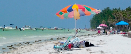 Anclote Key Preserve State Park