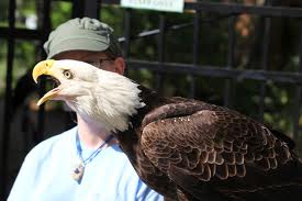 Audubon Center for Birds of Prey 