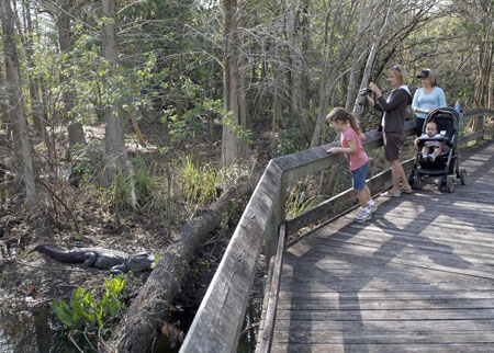 Boyd Hill Nature Preserve