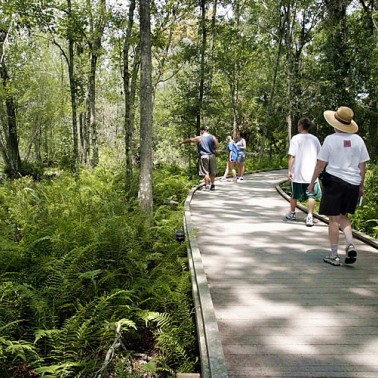 Brooker Creek Preserve, Pinellas County, FL