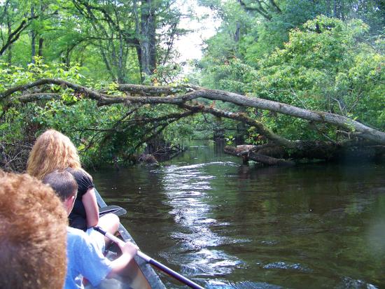 Canoe Escape, Tampa, FL