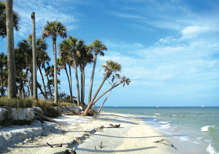 Cayo Costa State Park, FL