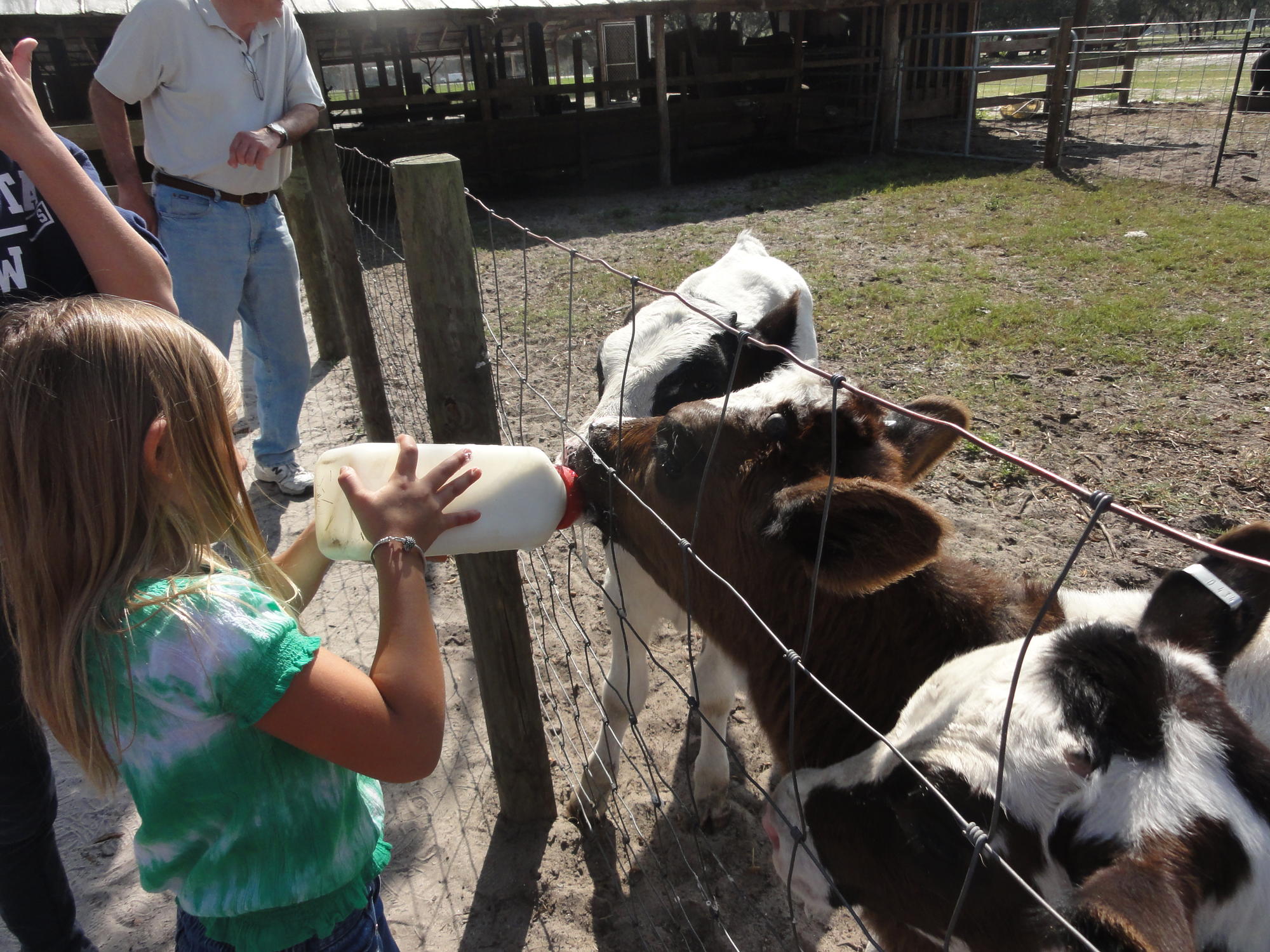 Dakin Dairy Farm, Bradenton, FL