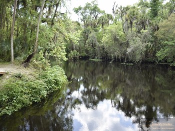 Dead River Park, Hillsborough Co. FL