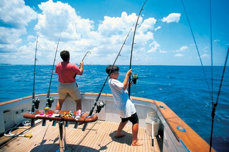 Deep Sea fishing off Anna Maria Island