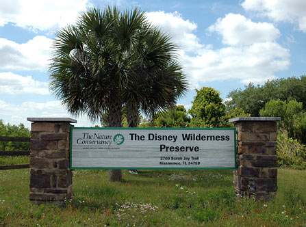 The Disney Wilderness Preserve