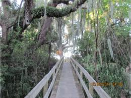 Emerson Point Preserve, Palmetto, FL