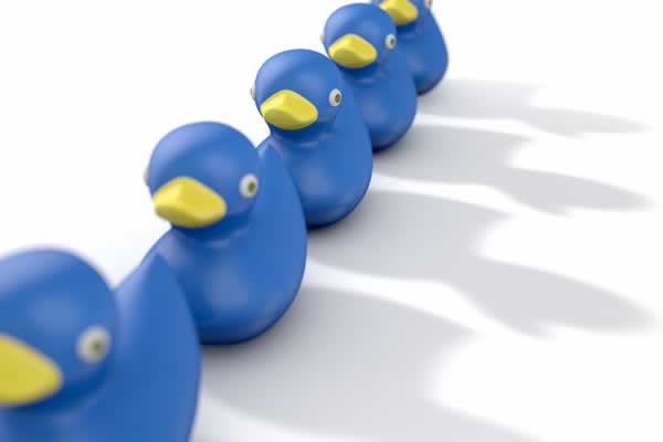 Rubber duckies in a row