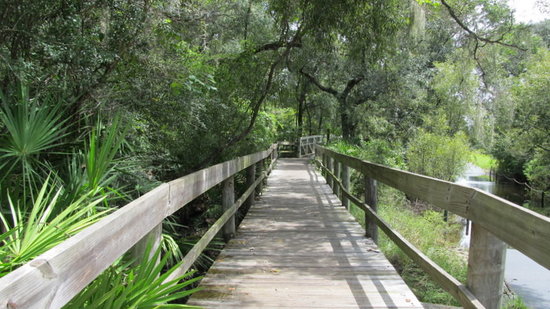 Flatwoods Park, Thonotosassa, FL