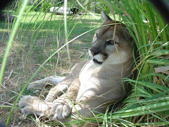 Hardee County Wildlife Refuge, FL