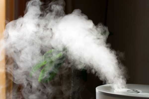 Steam rising from pot