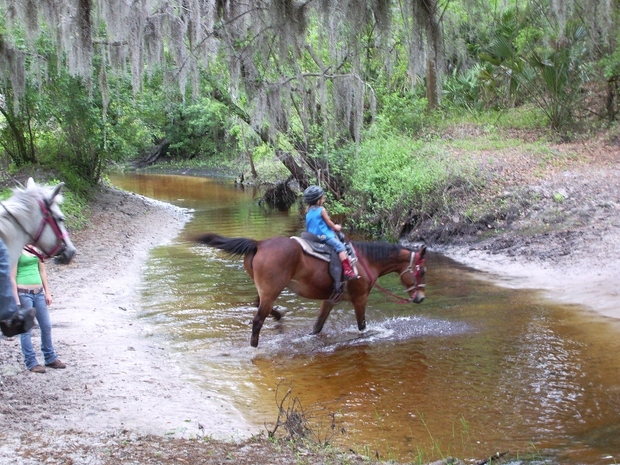 In The Breeze Ranch, Tampa, Fl