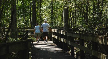 John B. Sargeant Park, Tampa, FL