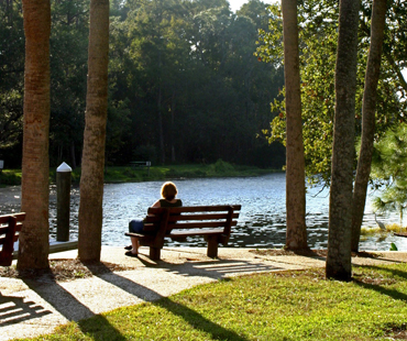 John Chesnut Sr. Park, Palm Harbor, FL