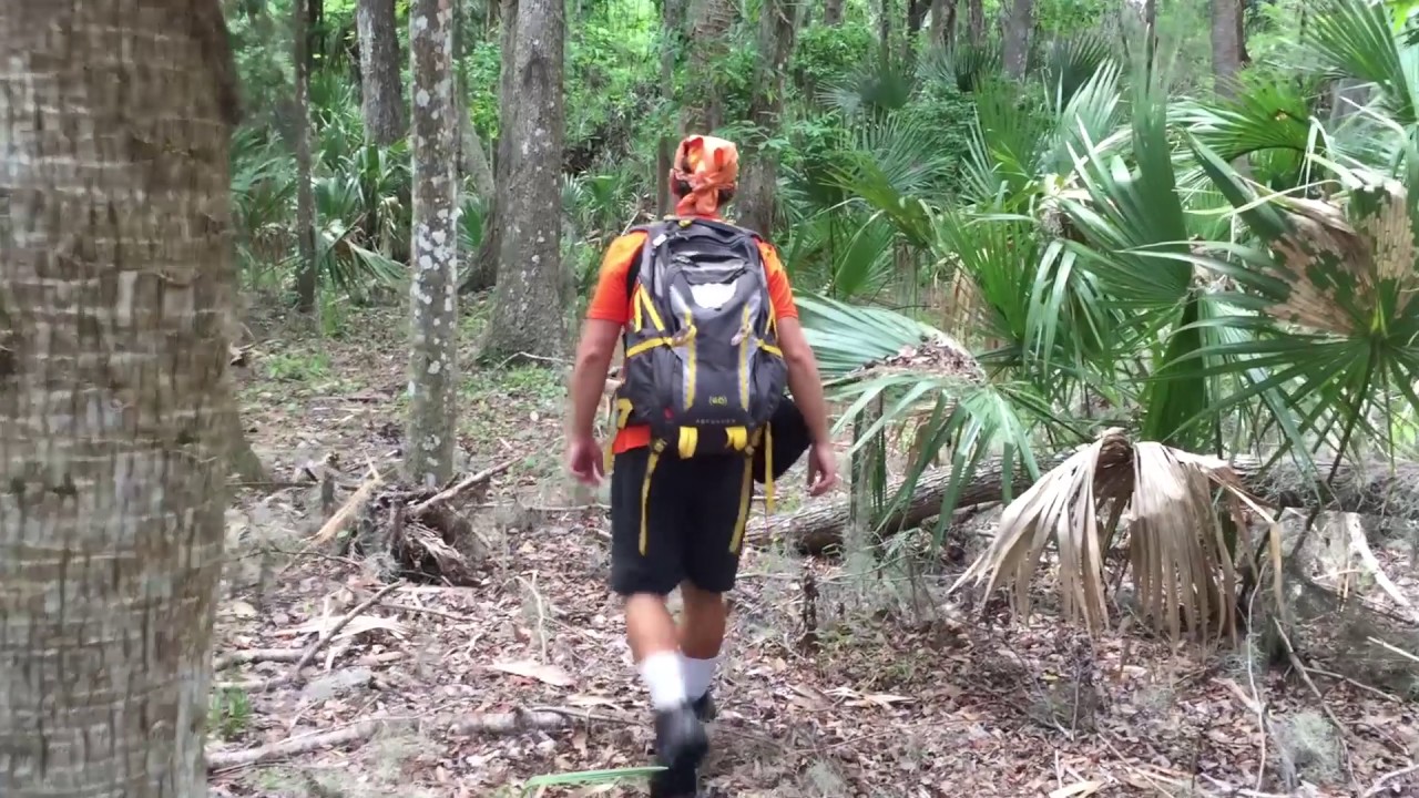 Lake George State forest