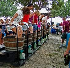 Lakeridge Winery & Vineyards, FL