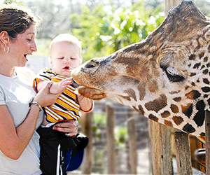 Lowry Park Zoo, Tampa, FL