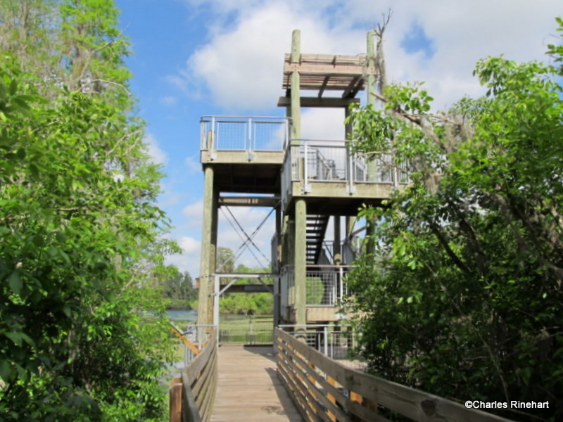 Lettuce Lake, Hillsborough County, FL