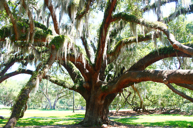 Loch Haven Park, Orlando, FL