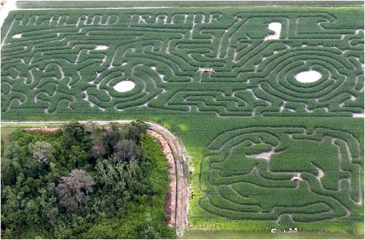 Long and Scott Farm maze