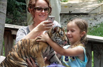 McCarthy&rsquo;s Wildlife Sanctuary, Fl