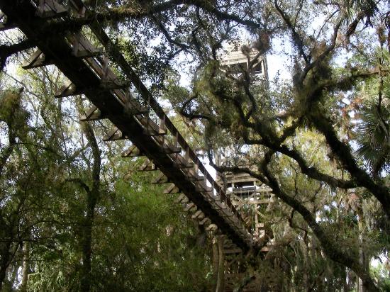 Myakka River Canopy Walk, FL