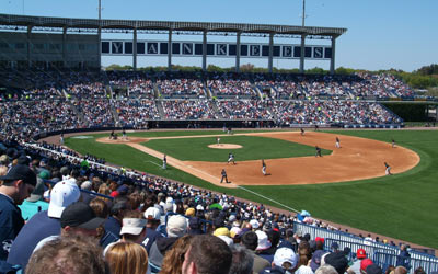 New York Yankees Spring Training At Steinbrenner Field, Tampa, FL