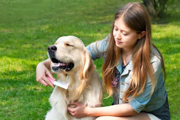Young girl with dog on lawn