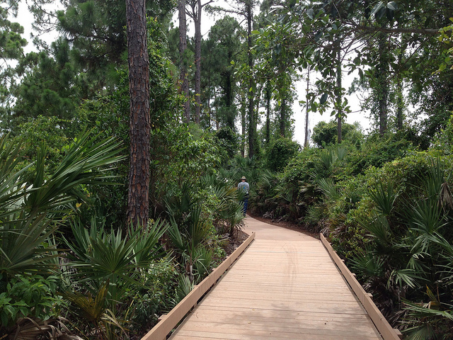 Pinelands Preserve, FL