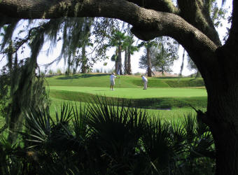 Palmetto, FL golf course