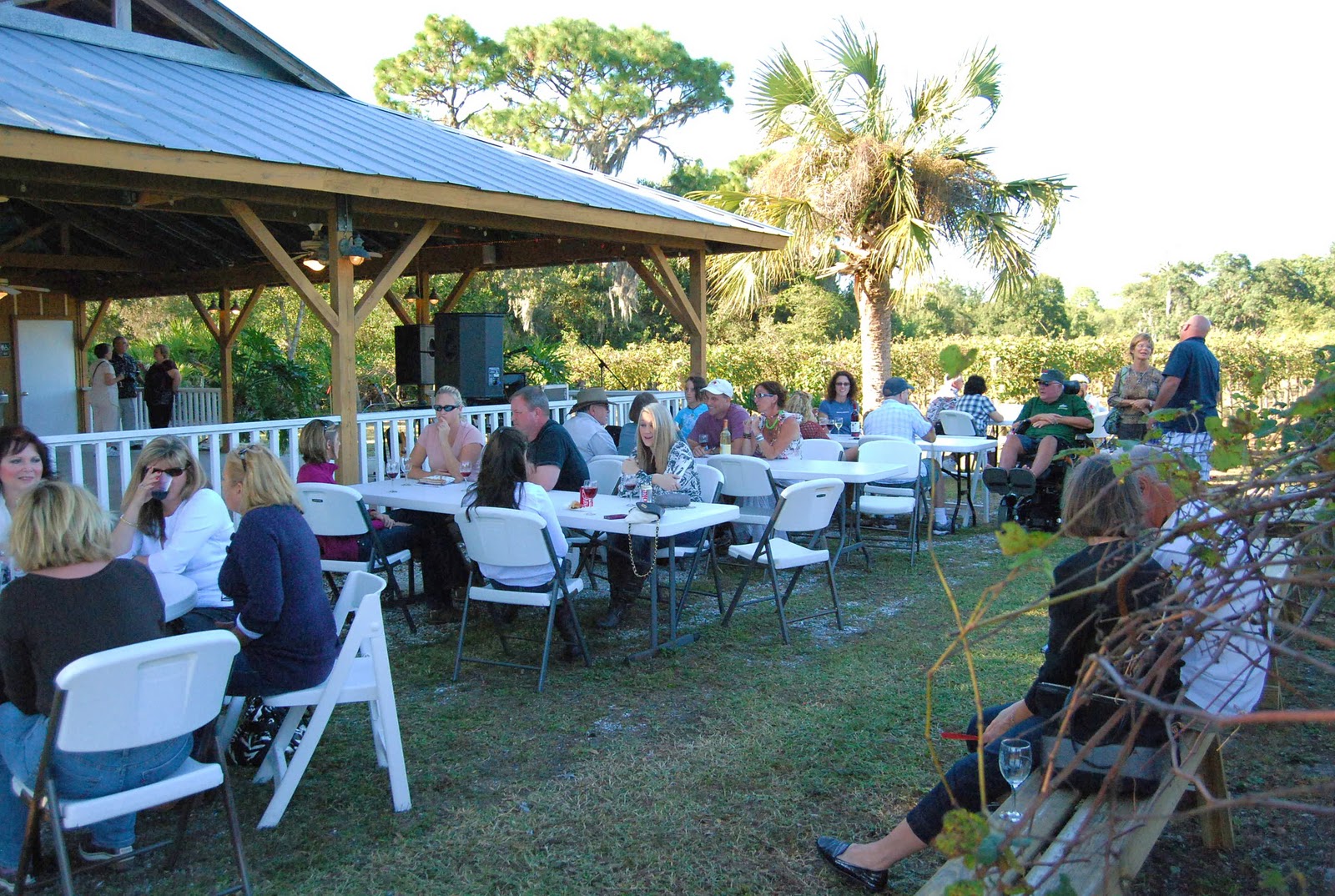 Rosa Fiorelli Winery