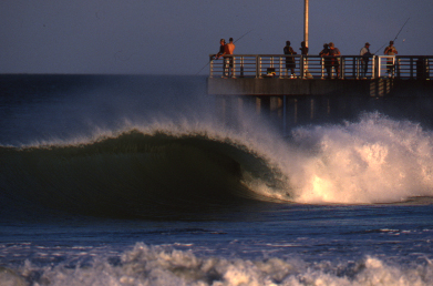 Sebastian Inlet State Park, FL