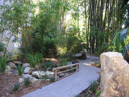 Selby Gardens, Sarasota, FL