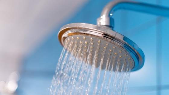 Shower head