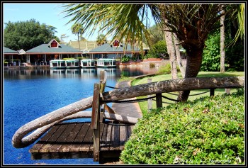 Silver Springs State Park Monkeys, FL