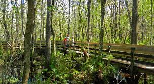 Six Mile Cypress Slough, Ft. Myers, FL