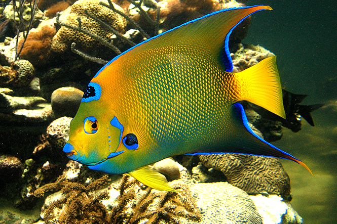 St. Lucie County Aquarium