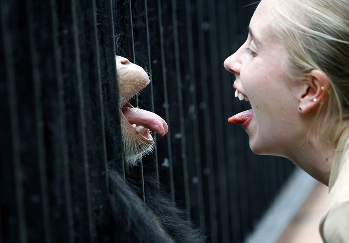 Suncoast Primate Sanctuary, Palm Harbor, FL