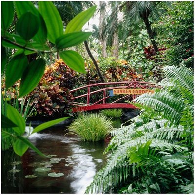 Sunken Gardens, St. Petersburg, FL