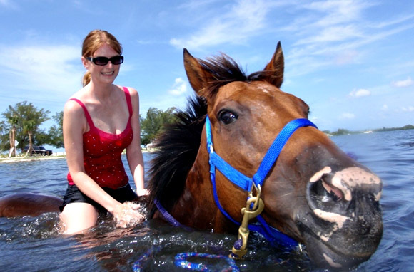 Swiming with horses, Palma Sola Causeway, Bradenton, FL