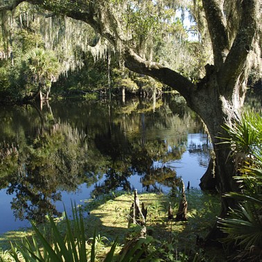 Trout Creek Park, Hillsborough County, FL
