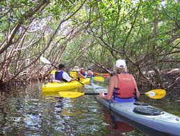 Weedon Islan Preserve, St. Petersburg, FL