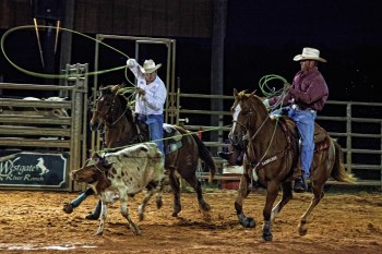 Westgate River Ranch , FL