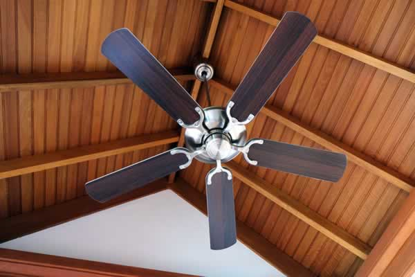 Picture of ceiling fan
