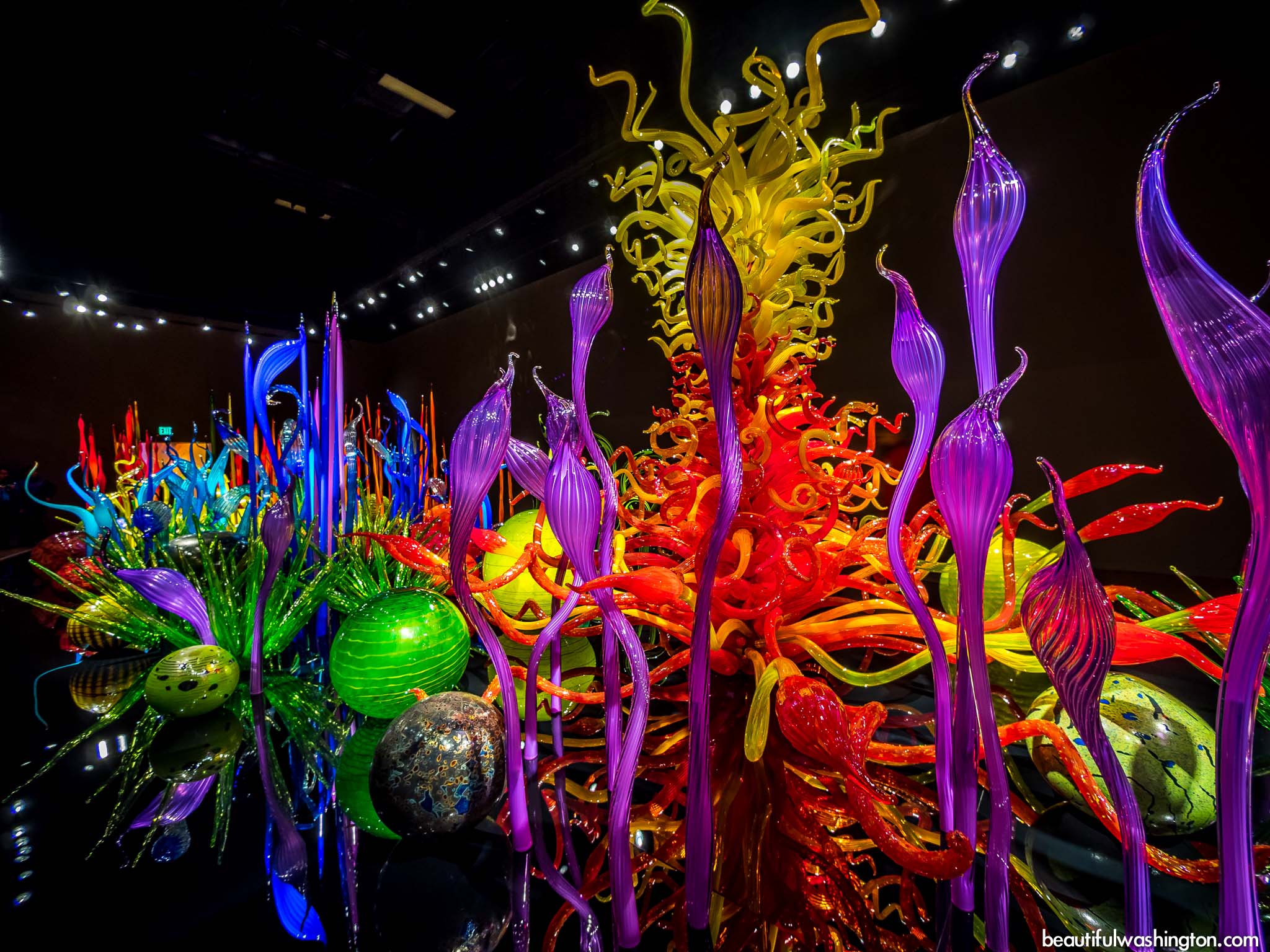 Chihuli Collection, St. Petersburg, FL