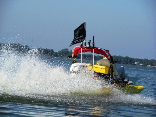 Craigcat Tours, Mt. Dora, FL